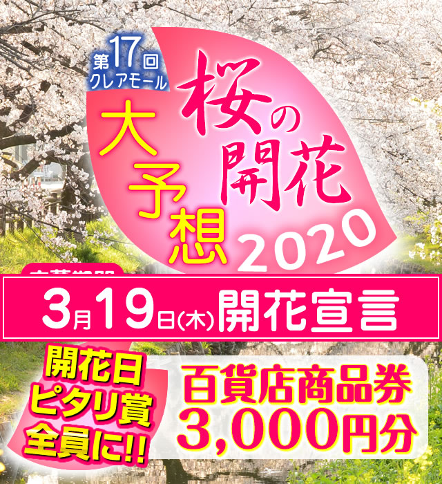 第17回クレアモール　桜の開花大予想！！2020