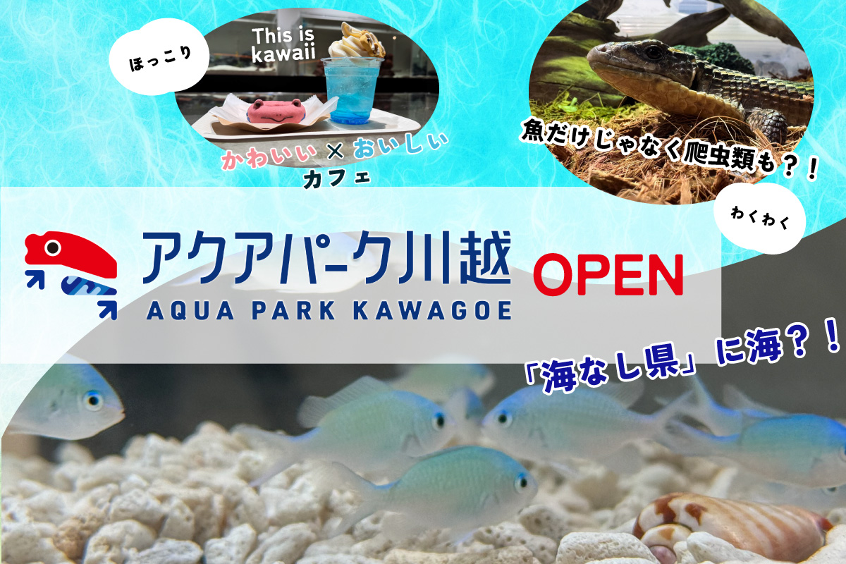 川越に海？！生き物系体験施設・アクアパーク川越がオープン！のアイキャッチ画像