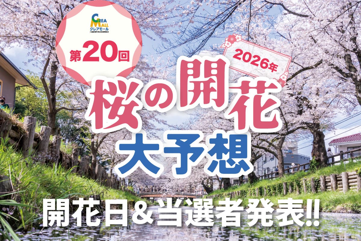 開花日・当選者発表！2026年桜の開花大予想