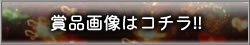 ܕi摜̓R`!!