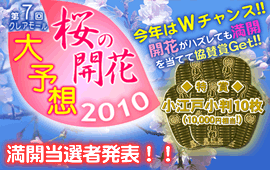 第7回クレアモール 桜の開花大予想!!